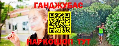 мяу мяу мука Малгобек