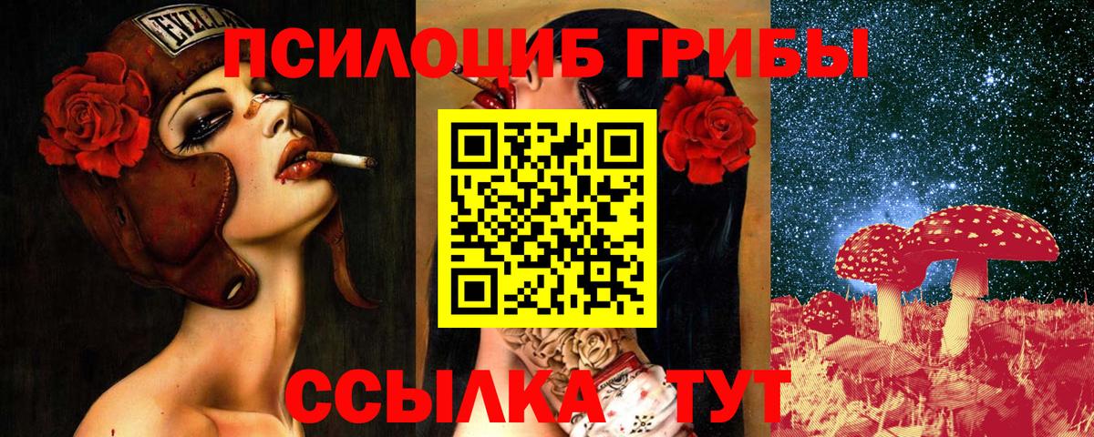 Псилоцибиновые грибы GOLDEN TEACHER  Псилоцибиновые грибы MAGIC MUSHROOMS  Вход с VPN  Дальнегорск 